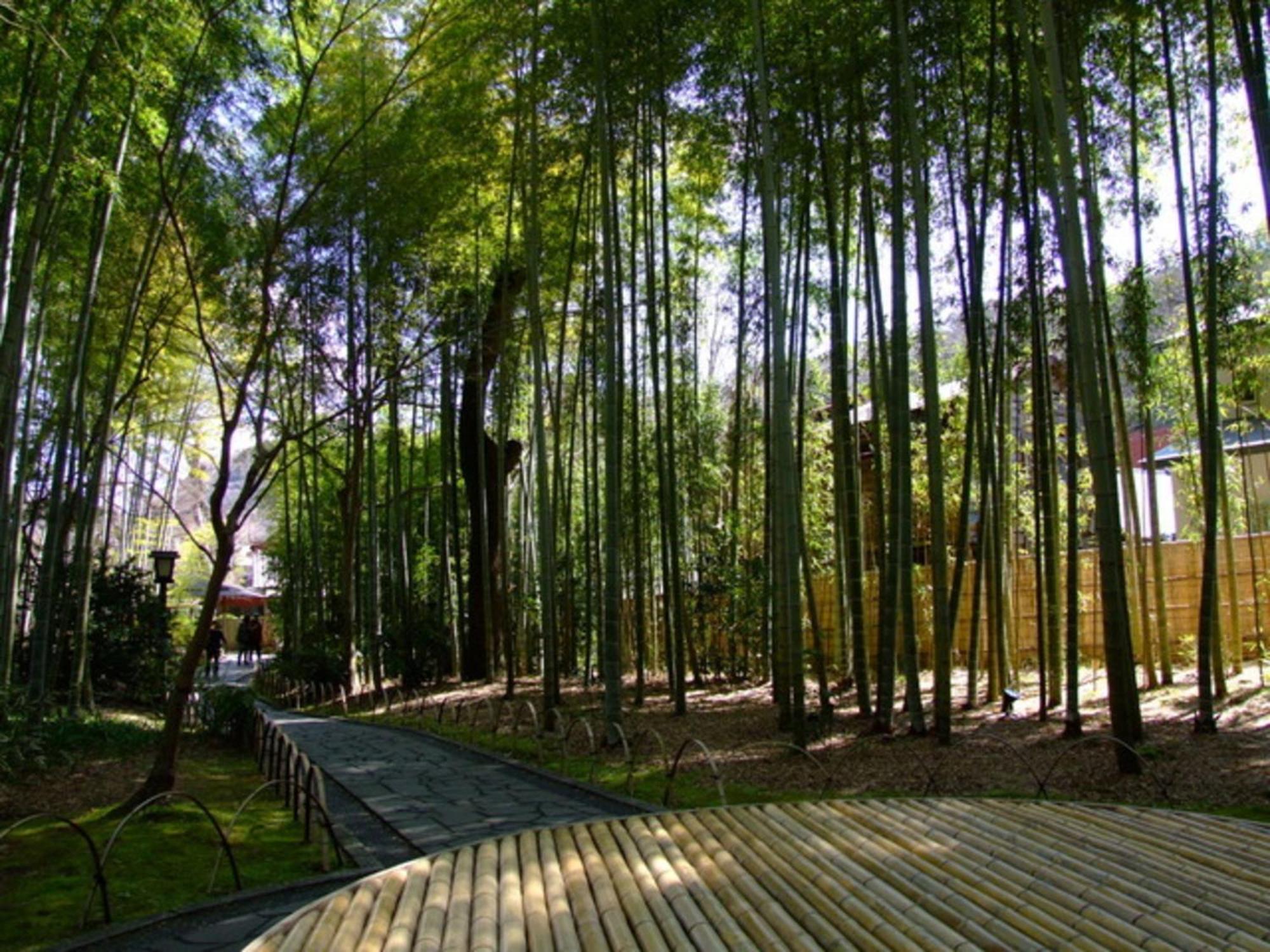 Breezbay Shuzenji Hotel Izu Exterior foto